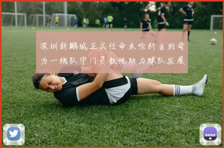 深圳新鹏城正式任命米伦科吉利奇为一线队守门员教练助力球队发展