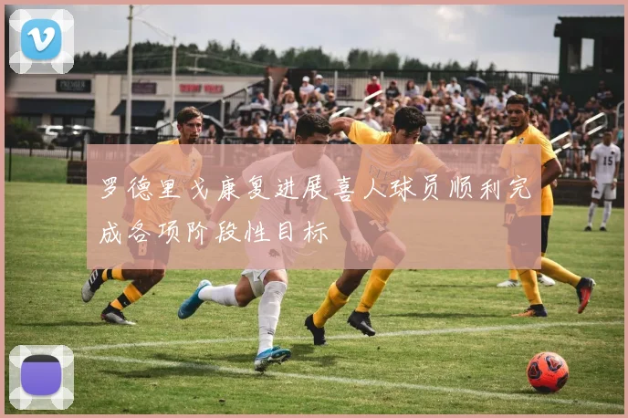 罗德里戈康复进展喜人球员顺利完成各项阶段性目标